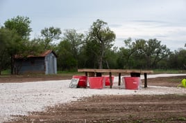 Hondo, TX Dove Hunt