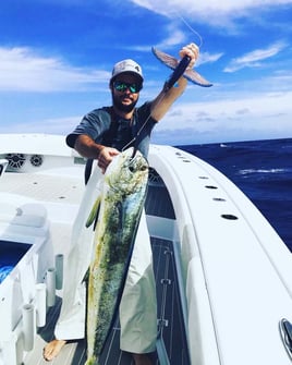 Mahi Mahi Fishing in Honolulu, Hawaii