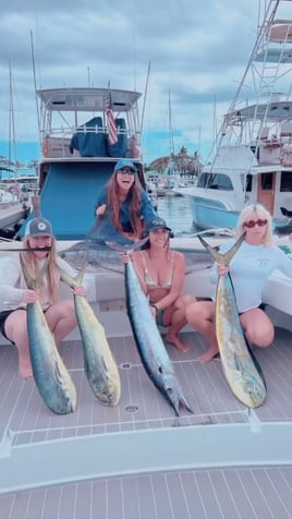 Mahi Mahi, Wahoo Fishing in Honolulu, Hawaii