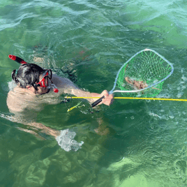 The Snorkeling for Lobster Addiction Starts Here