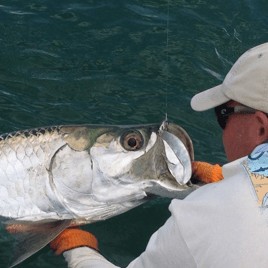 Tarpon Fishing in Islamorada, Florida