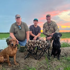 Arkansas Duck Hunts