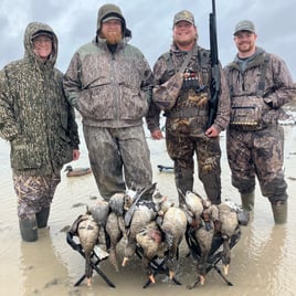 Arkansas Duck Hunts