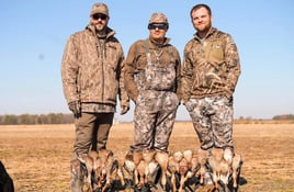 Arkansas Duck Hunts