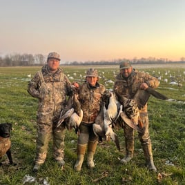 Arkansas Spec & Whitefront Goose Hunt w/ Lodging