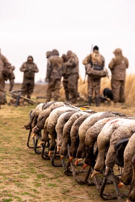 Arkansas Spec & Whitefront Goose Hunt w/ Lodging