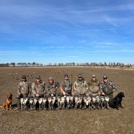 Arkansas Spec & Whitefront Goose Hunt w/ Lodging