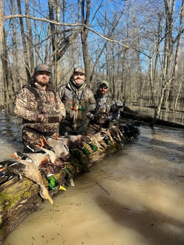 Arkansas Timber Duck Hunts w/ Lodging