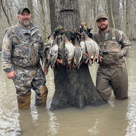 Arkansas Timber Duck Hunts w/ Lodging