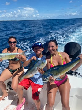 Mahi Mahi Fishing in Pompano Beach, Florida