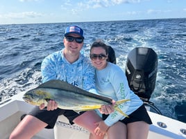 Mahi Mahi Fishing in Pompano Beach, Florida