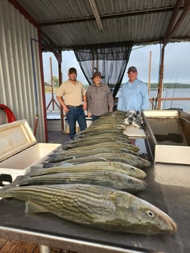 4 Hour Striper (AM or PM)