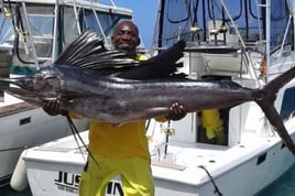 Sailfish Fishing in Miami Beach, Florida