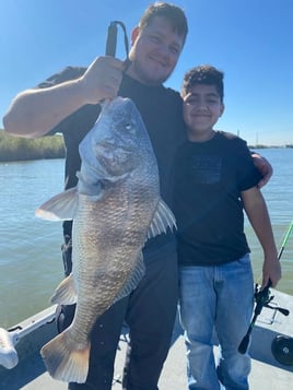 Black Drum Fishing in Galveston, Texas