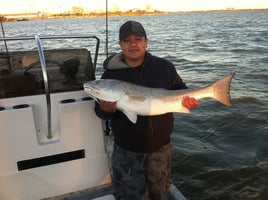 Upper Galveston Bay