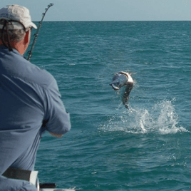 Tarpon Fishing in Marathon, Florida