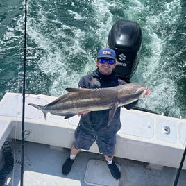 Cobia Fishing in Wanchese, North Carolina