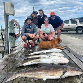 Cobia Fishing in Wanchese, North Carolina