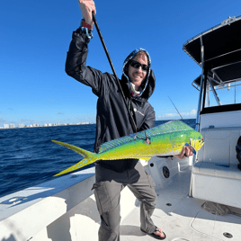 Mahi Mahi Fishing in Pompano Beach, Florida