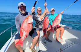 Red Snapper Fishing in Freeport, Texas