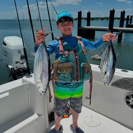 Skipjack Tuna Fishing in Big Pine Key, Florida