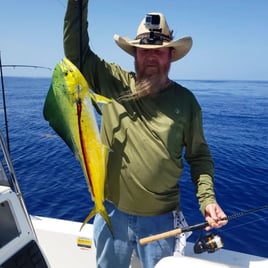 Mahi Mahi Fishing in Big Pine Key, Florida