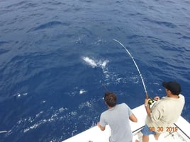 Port Aransas Offshore Excursion