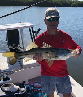 Snook Fishing in Sebastian, Florida