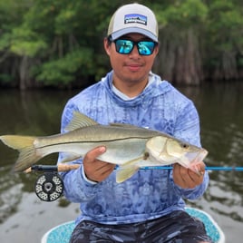 Snook Fishing in Sebastian, Florida