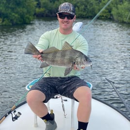 Black Drum Fishing in Sebastian, Florida