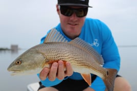 Redfish Fishing in Sebastian, Florida