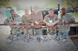 Dove Hunt