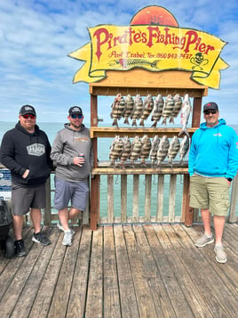 Sheepshead Fishing in Port Isabel, Texas