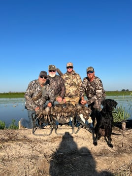 Louisiana Early Teal Hunts