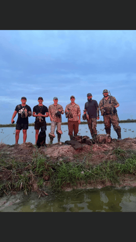 Louisiana Early Teal Hunts