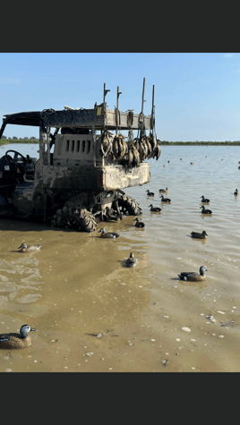 Louisiana Early Teal Hunts