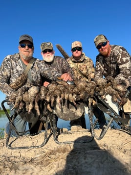 Louisiana Early Teal Hunts