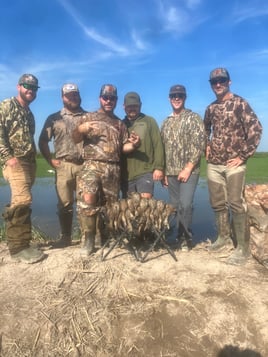 Louisiana Early Teal Hunts