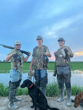 Louisiana Early Teal Hunts