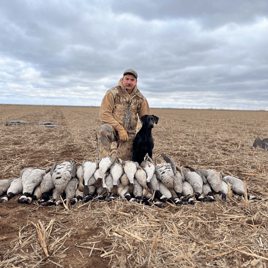 Oklahoma Half Day Goose Hunt