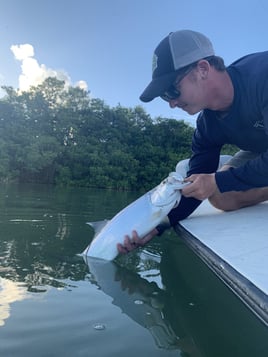 Tarpon Fishing in Homestead, Florida