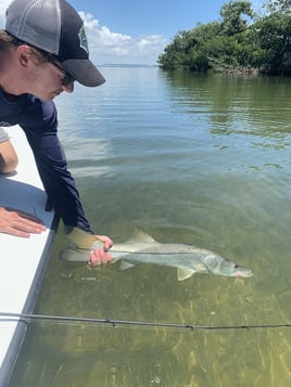 Snook Fishing in Homestead, Florida