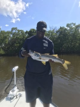 Snook Fishing in Homestead, Florida