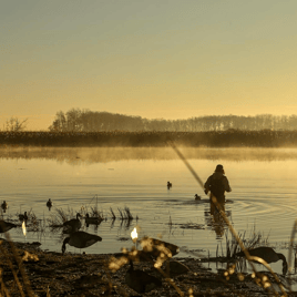 Deering, Missouri Goose Hunt