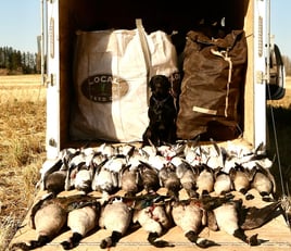 Deering, Missouri Goose Hunt