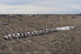 Deering, Missouri Goose Hunt