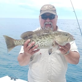 Gag Grouper Fishing in Wilmington, North Carolina