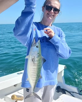 Bonito Fishing in Wilmington, North Carolina