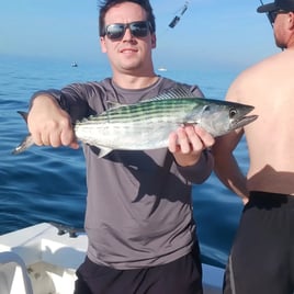 Bonito Fishing in Wilmington, North Carolina