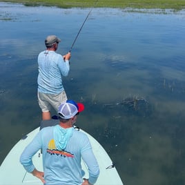 Sight fishing on the flats - Fly Fishing